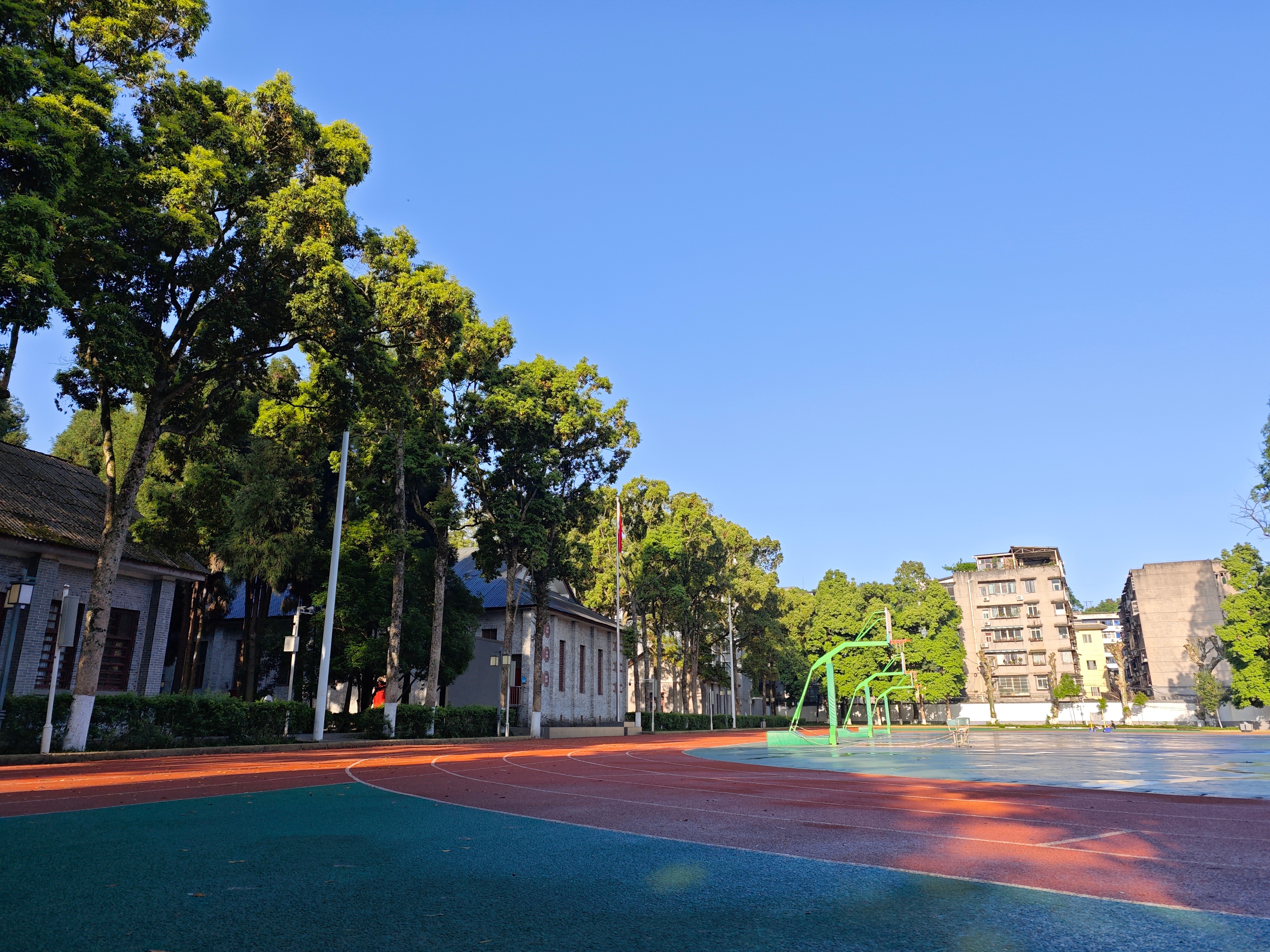 定格美好！藏在校园里的青“春”